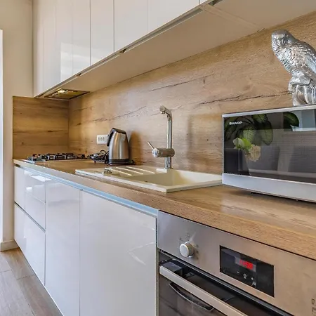 Apartman Front In With Wifi Medulin